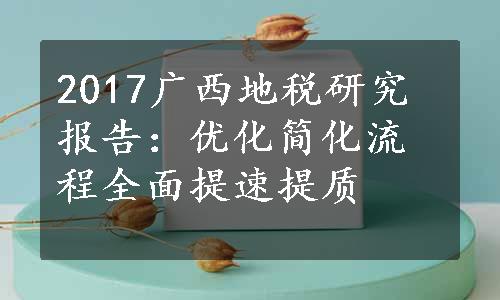 2017广西地税研究报告：优化简化流程全面提速提质