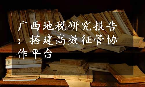 广西地税研究报告：搭建高效征管协作平台