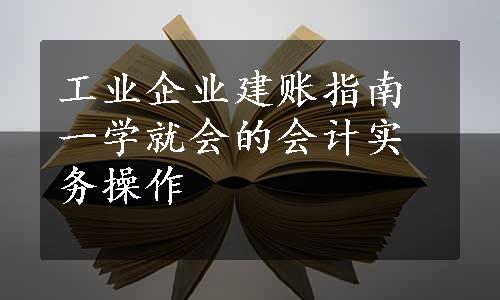 工业企业建账指南一学就会的会计实务操作