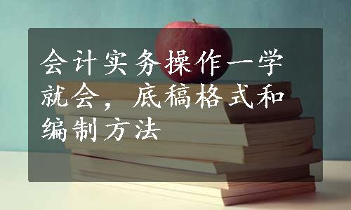 会计实务操作一学就会，底稿格式和编制方法