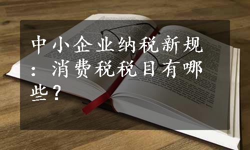 中小企业纳税新规：消费税税目有哪些？