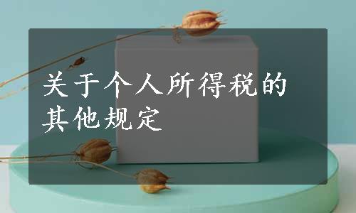 关于个人所得税的其他规定