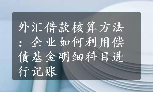 外汇借款核算方法：企业如何利用偿债基金明细科目进行记账