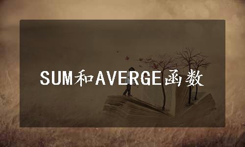 SUM和AVERGE函数