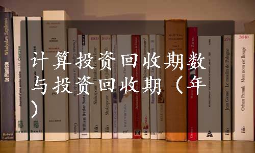 计算投资回收期数与投资回收期（年）