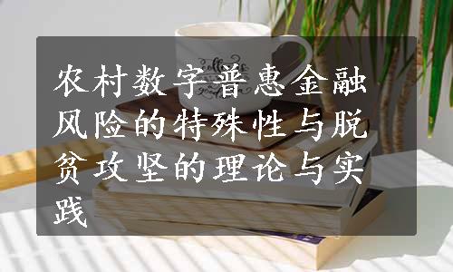 农村数字普惠金融风险的特殊性与脱贫攻坚的理论与实践