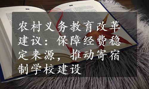 农村义务教育改革建议：保障经费稳定来源，推动寄宿制学校建设