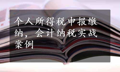 个人所得税申报缴纳，会计纳税实战案例