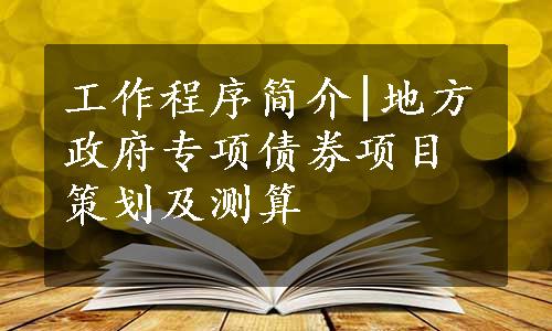 工作程序简介|地方政府专项债券项目策划及测算