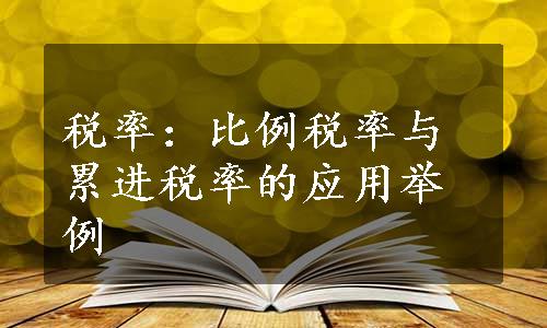 税率：比例税率与累进税率的应用举例