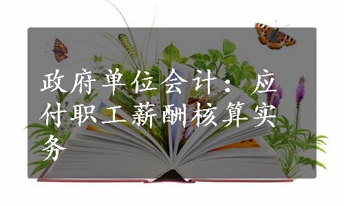 政府单位会计：应付职工薪酬核算实务