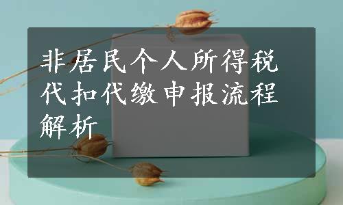 非居民个人所得税代扣代缴申报流程解析