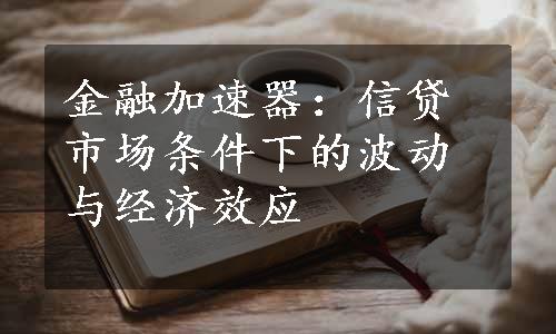 金融加速器：信贷市场条件下的波动与经济效应