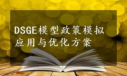 DSGE模型政策模拟应用与优化方案