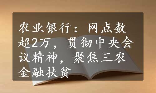 农业银行：网点数超2万，贯彻中央会议精神，聚焦三农金融扶贫