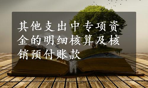 其他支出中专项资金的明细核算及核销预付账款