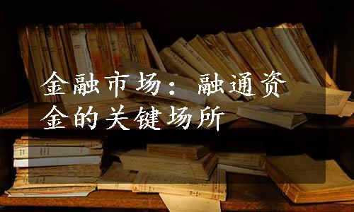 金融市场：融通资金的关键场所