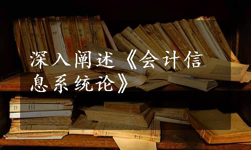 深入阐述《会计信息系统论》