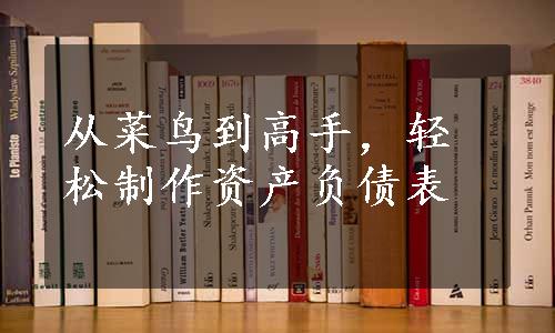 从菜鸟到高手，轻松制作资产负债表