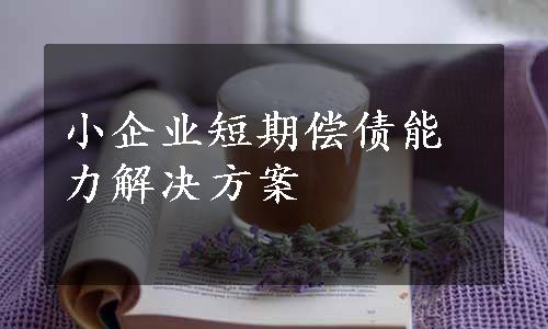 小企业短期偿债能力解决方案