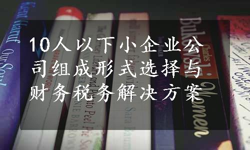 10人以下小企业公司组成形式选择与财务税务解决方案