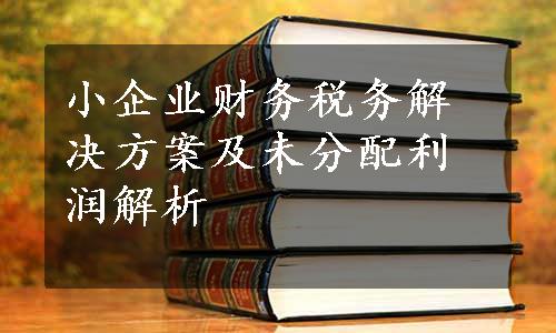 小企业财务税务解决方案及未分配利润解析