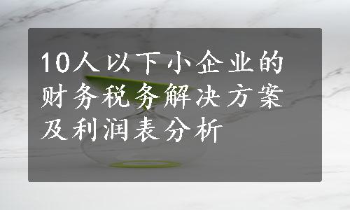 10人以下小企业的财务税务解决方案及利润表分析