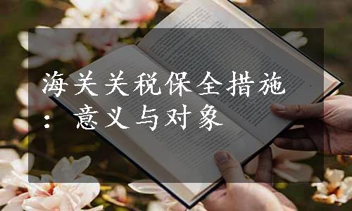 海关关税保全措施：意义与对象