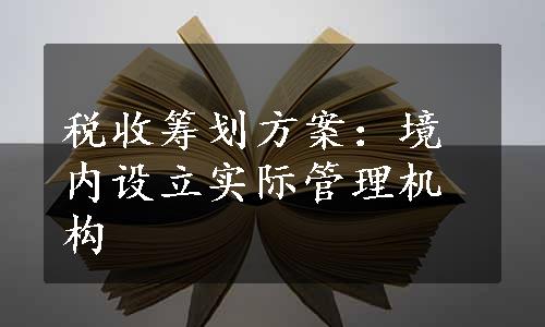 税收筹划方案：境内设立实际管理机构