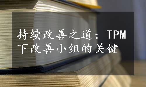 持续改善之道：TPM下改善小组的关键