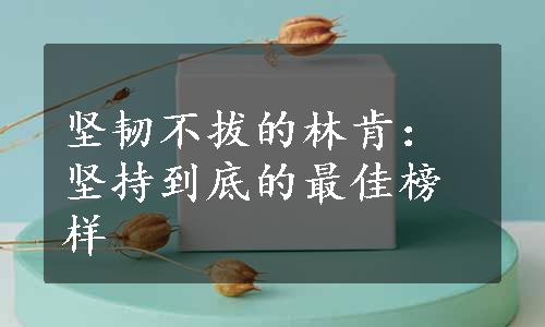 坚韧不拔的林肯：坚持到底的最佳榜样