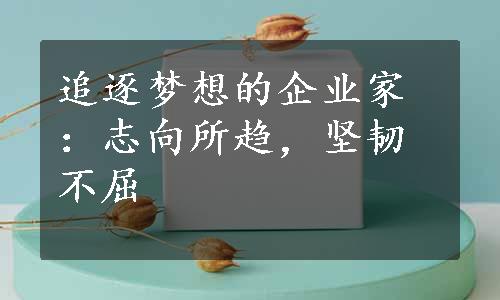 追逐梦想的企业家：志向所趋，坚韧不屈