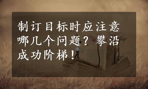 制订目标时应注意哪几个问题？攀沿成功阶梯！