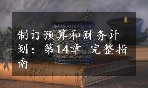 制订预算和财务计划：第14章 完整指南