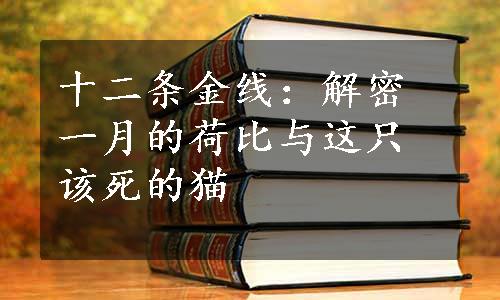 十二条金线：解密一月的荷比与这只该死的猫