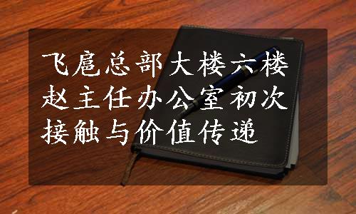 飞扈总部大楼六楼赵主任办公室初次接触与价值传递