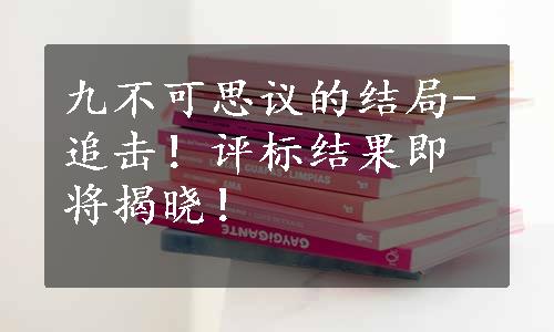 九不可思议的结局-追击！评标结果即将揭晓！