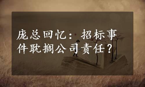 庞总回忆：招标事件耽搁公司责任？