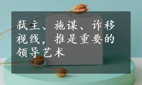 弑主、施谋、诈移视线，推是重要的领导艺术