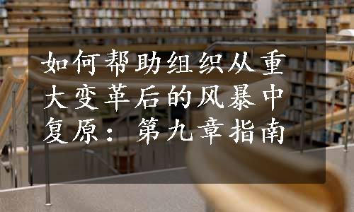 如何帮助组织从重大变革后的风暴中复原：第九章指南