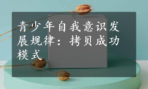 青少年自我意识发展规律：拷贝成功模式