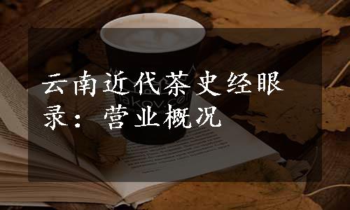 云南近代茶史经眼录：营业概况