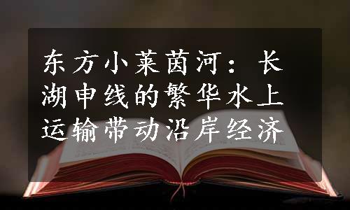 东方小莱茵河：长湖申线的繁华水上运输带动沿岸经济