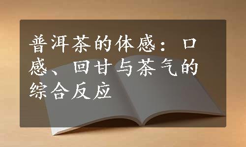 普洱茶的体感：口感、回甘与茶气的综合反应