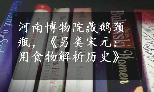 河南博物院藏鹅颈瓶，《另类宋元：用食物解析历史》