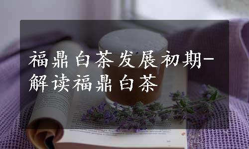 福鼎白茶发展初期-解读福鼎白茶