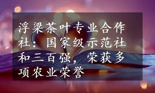 浮梁茶叶专业合作社：国家级示范社和三百强，荣获多项农业荣誉