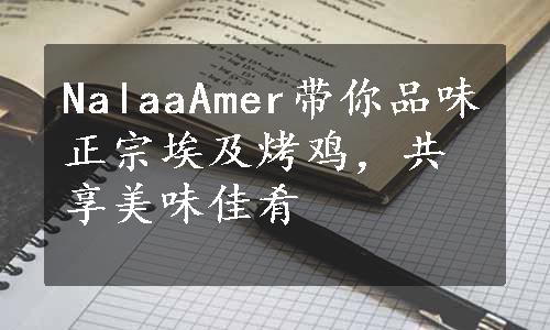 NalaaAmer带你品味正宗埃及烤鸡，共享美味佳肴