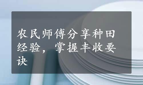 农民师傅分享种田经验，掌握丰收要诀