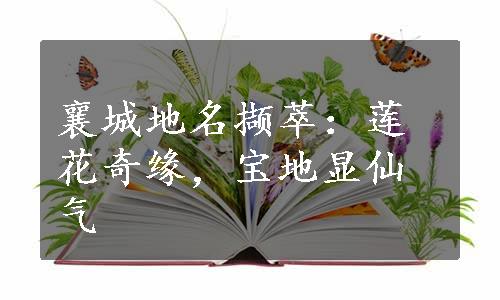 襄城地名撷萃：莲花奇缘，宝地显仙气